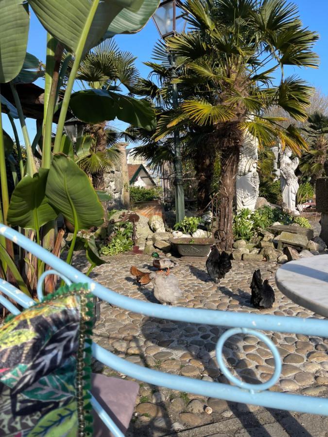 הילחום Paradijs Eiland מראה חיצוני תמונה